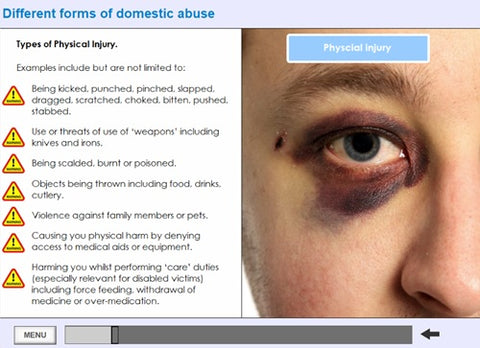 An_Introduction_to_Domestic_Abuse_Screen_Shot_2