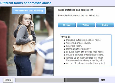 An_Introduction_to_Domestic_Abuse_Screen_Shot_4