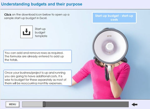 Budget-and-cashflow-screenshot-2