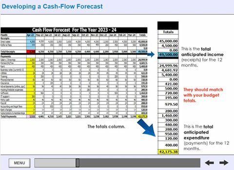 Budget-and-cashflow-screenshot-4