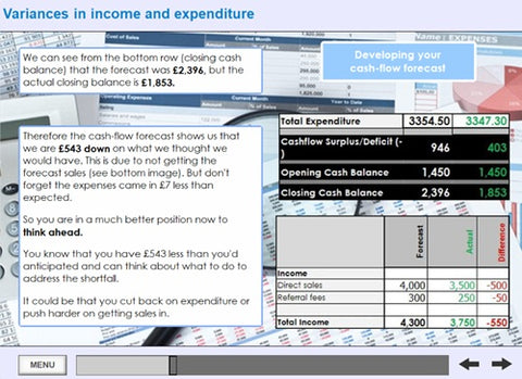 Budget-and-cashflow-screenshot-8