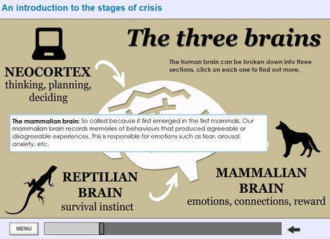 De-escalation-of-challenging-behaviour-screen-shot-2