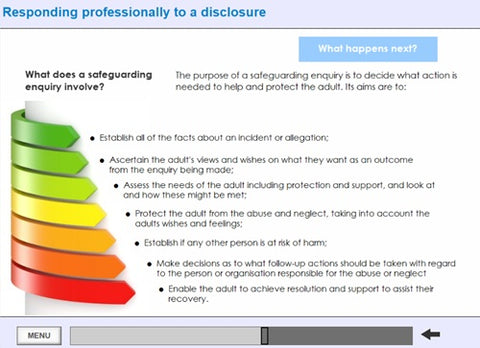 Educational slide about safeguarding enquiries with a color-coded diagram and text.