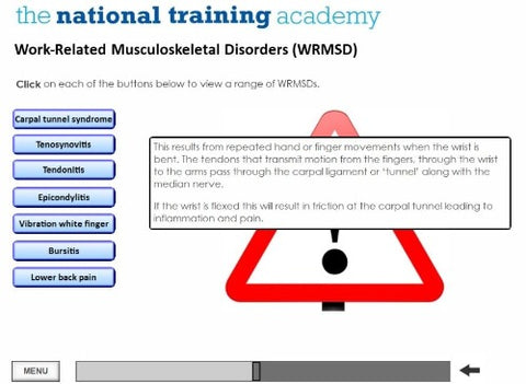 DSE Awareness Online Training - screen shot 4