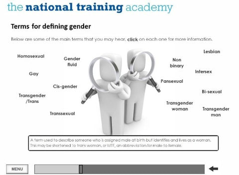 Equality and Diversity Online Training - screen shot 5