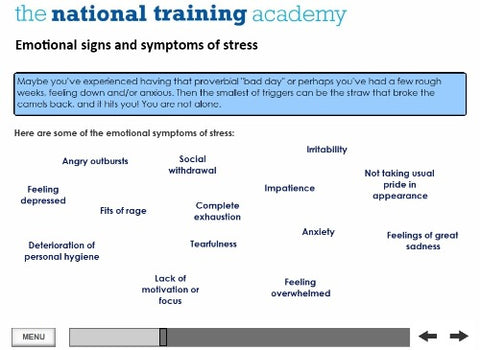 Stress Awareness for Managers Online Training - screen shot 6