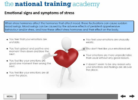 Stress Awareness in the Workplace Online Training - screen shot 4