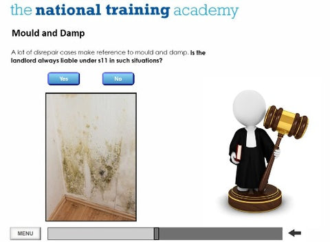 Understanding Disrepair Responsibilities Online Training screen shot 6